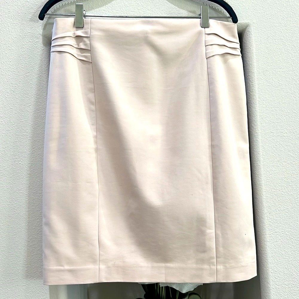 Express Skirt